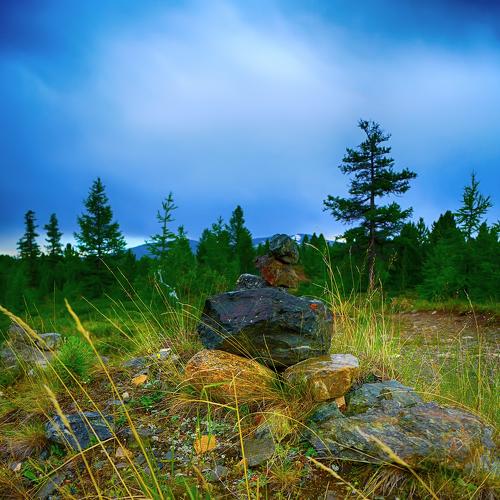 Photo #3341515