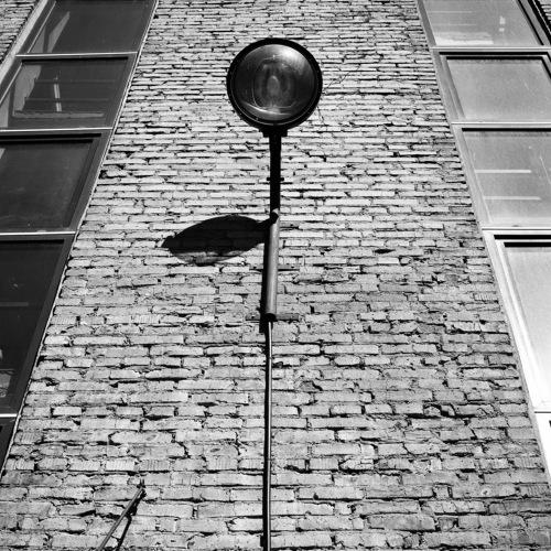 flower on the wall
