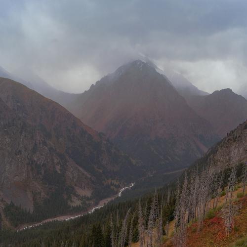 Photo #3342207