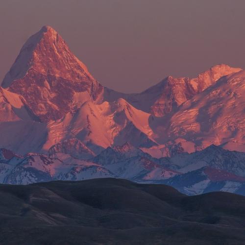 Photo #3342217