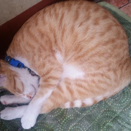 All curled up