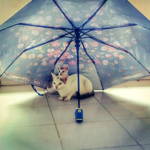 Warm love