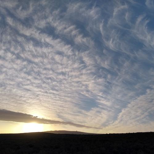 Karoo