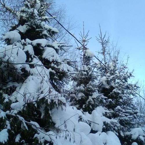 Зимние чудеса .