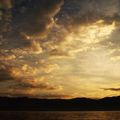 Photo #3345932