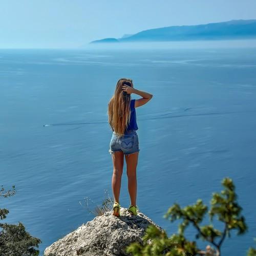 Photo #3346084