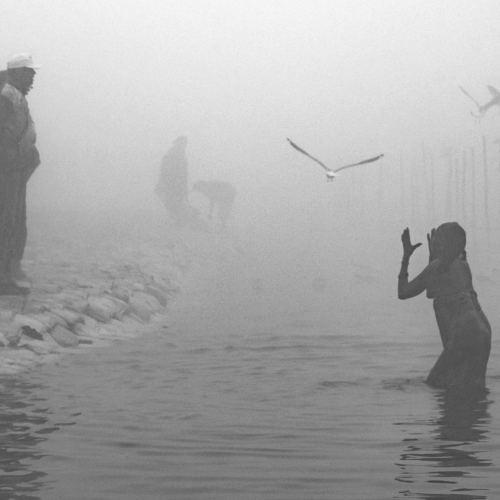 FOGGY MORNING