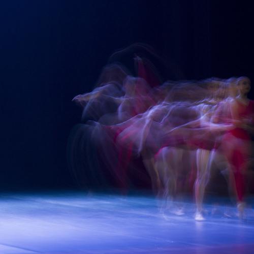 Photo #3346713