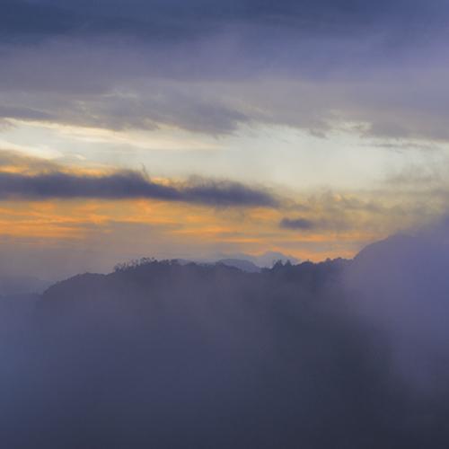 Entre Niebla