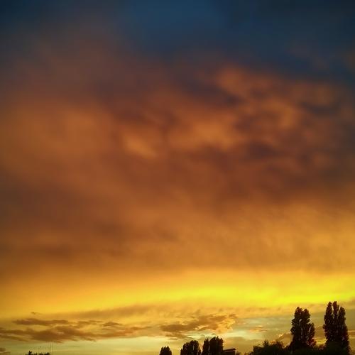 Photo #3347117
