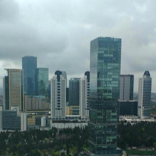 Photo #3347120