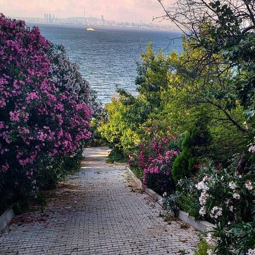 Burgazada