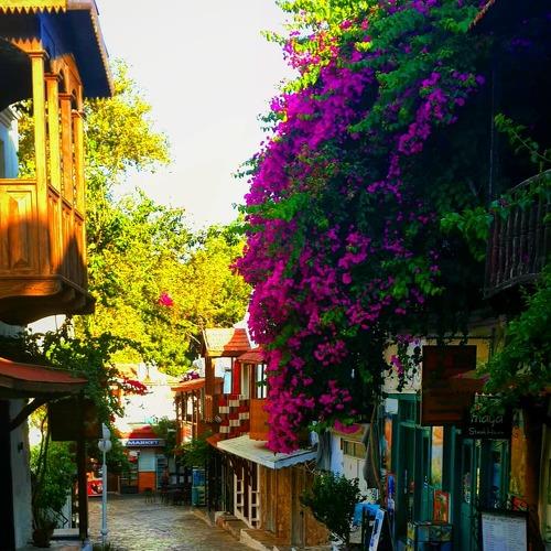 Street with flowers