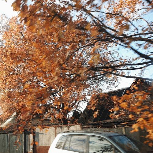 Photo #3348574