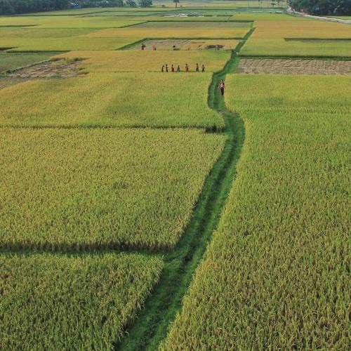 Beautiful Bangladesh