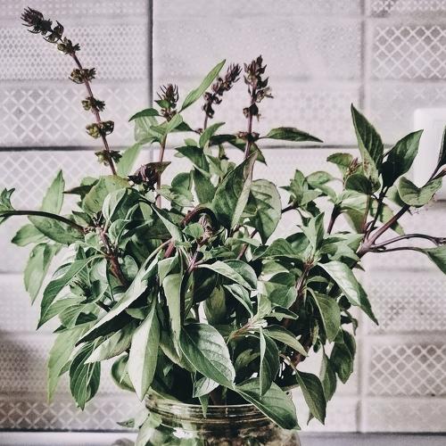 Photo #3350279