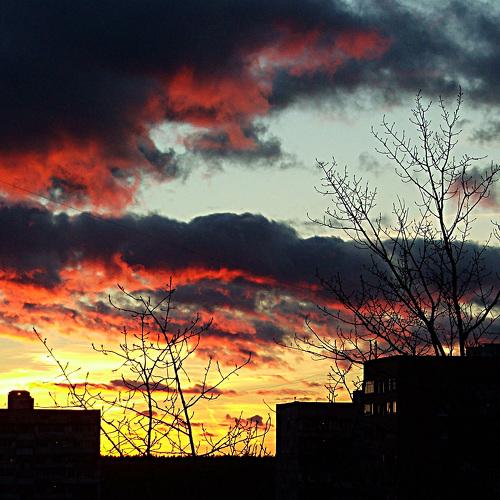 Photo #3350469