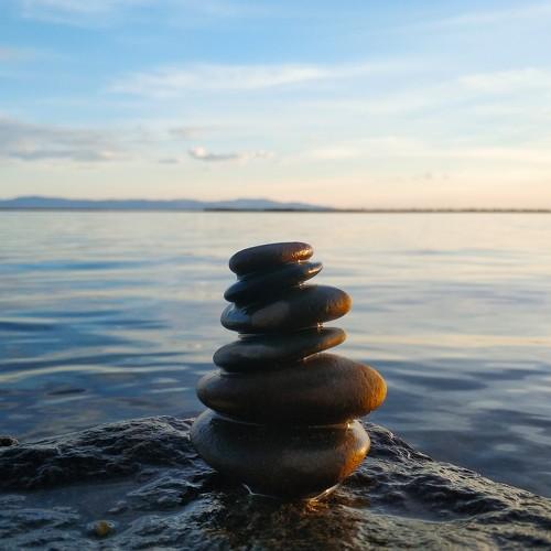 Photo #3351386