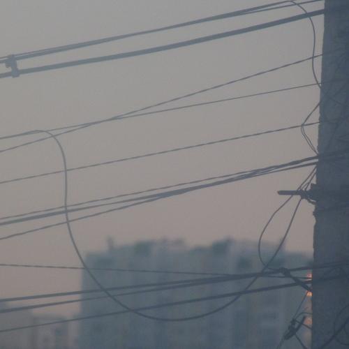 Photo #3351425