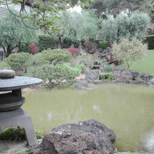 Photo #3351793