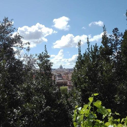 Photo #3351905