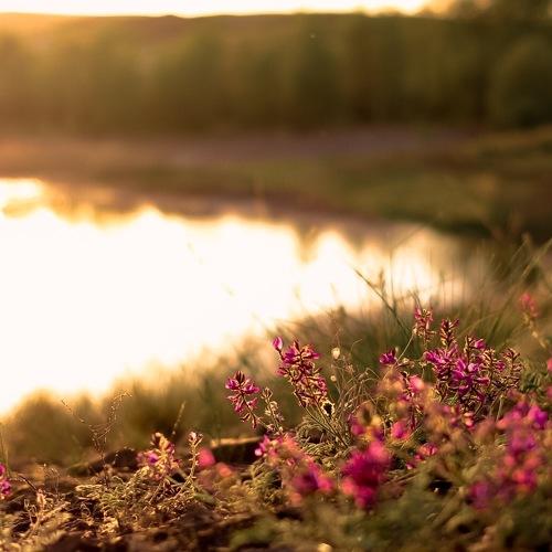 Photo #3352654