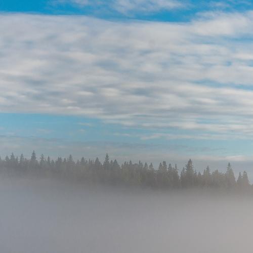 Photo #3353952