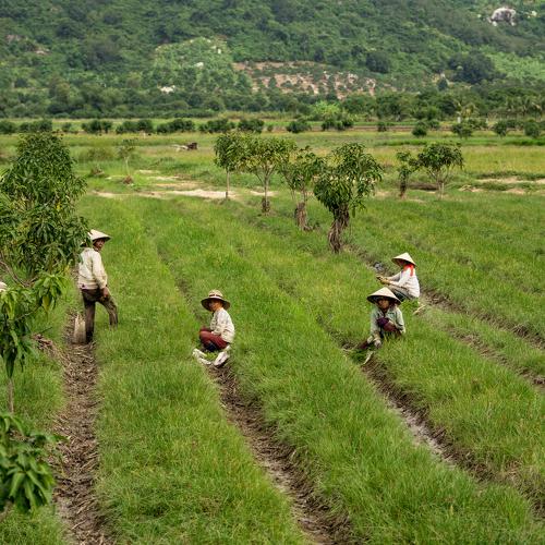women on the field