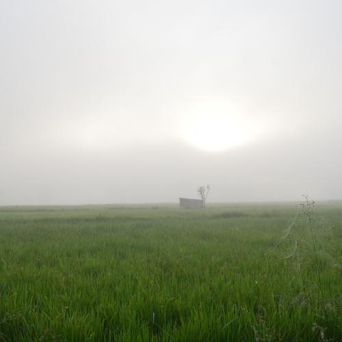 Morning day is beutifull