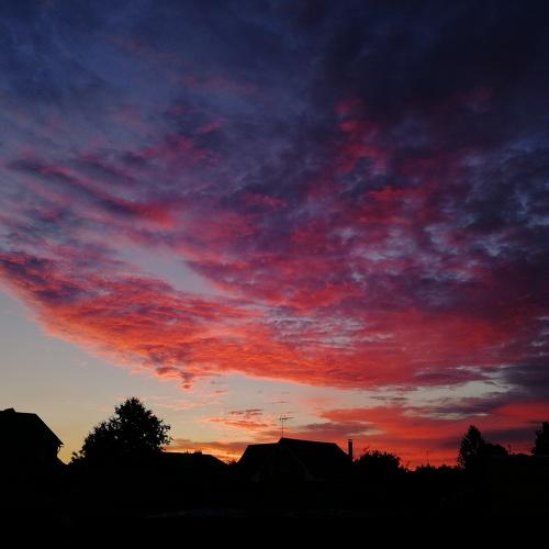 Photo #3355806