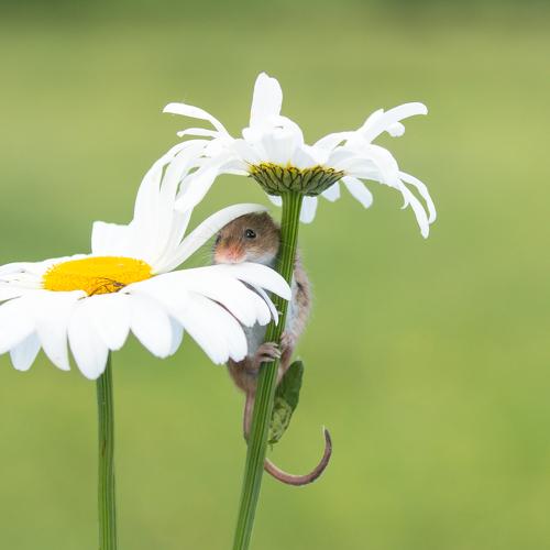 Stop and smell the flowers