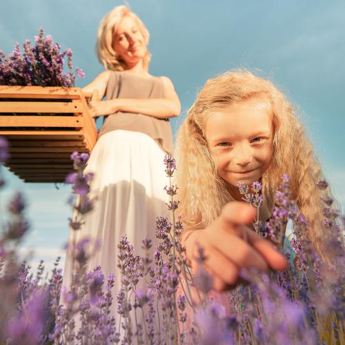 mom and daughter in lavender