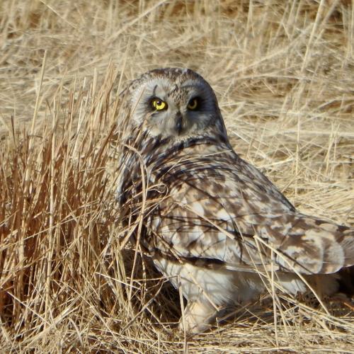 Photo #3356550