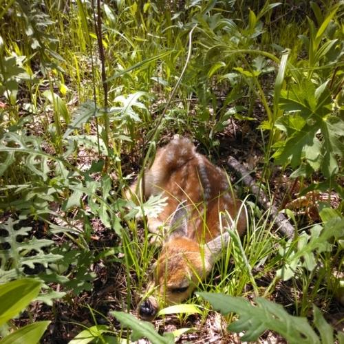 Photo #3356552