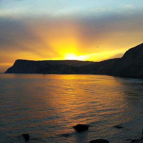 Photo #3358341