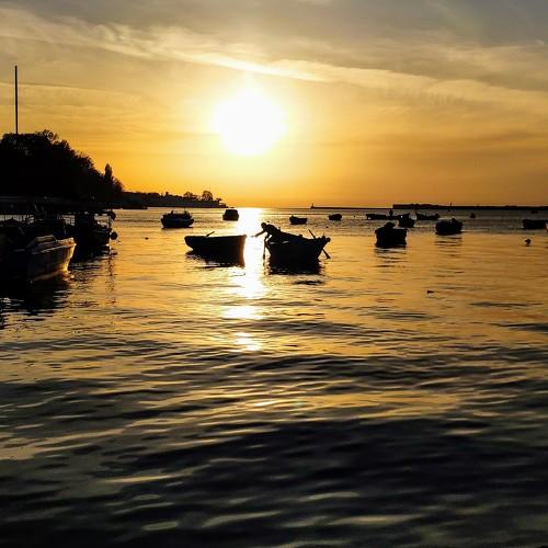 Photo #3358342