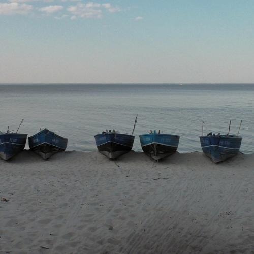 Photo #3359046