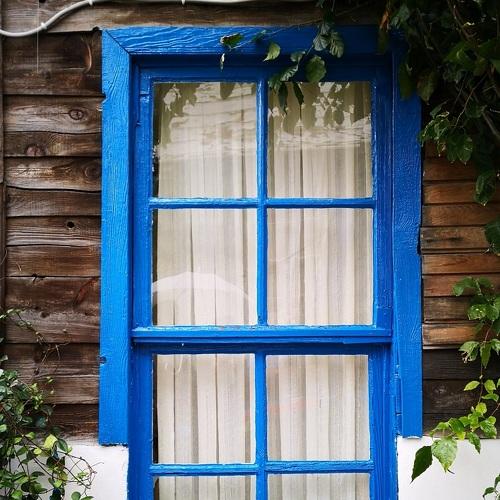Cat at the window