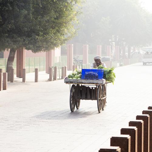 Продавец овощей