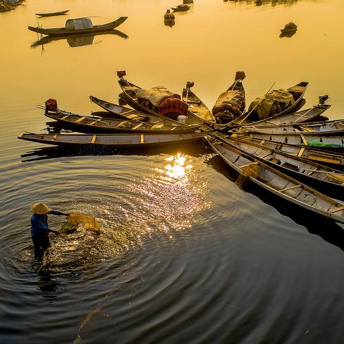 Wash the net after catching night fish