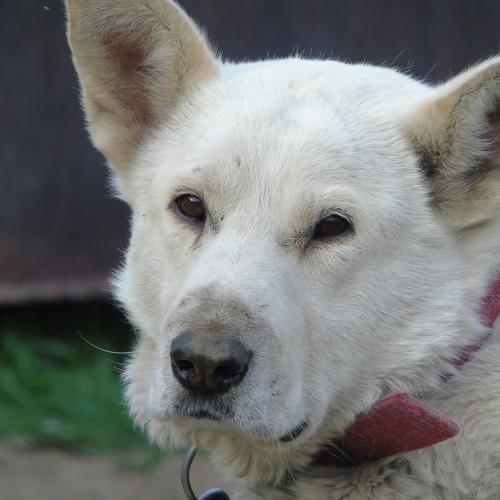Photo #3360281
