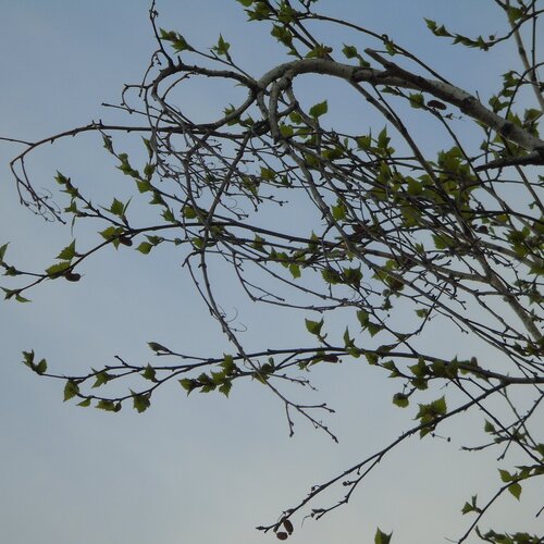 Photo #3360282