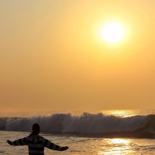 Feel the sunshine
