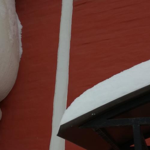 Photo #3361343