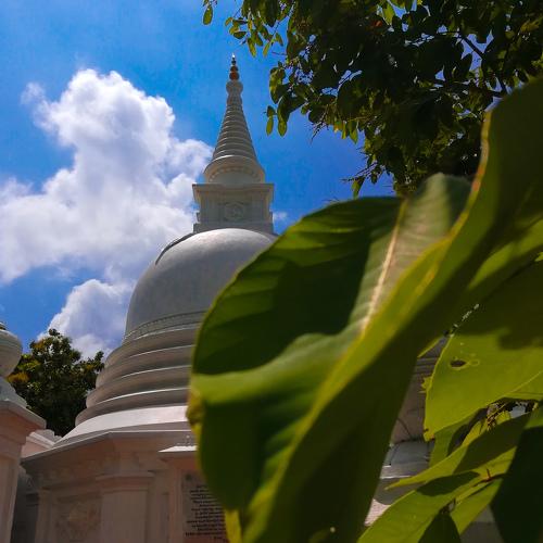 In the temple . Gampha srilanka