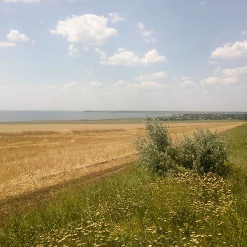 Край над лиманом