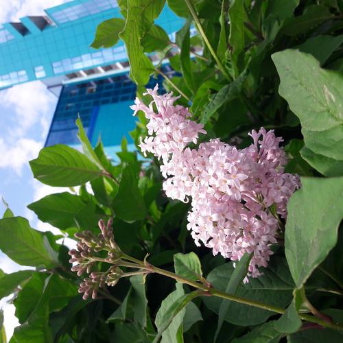 Photo #3363894