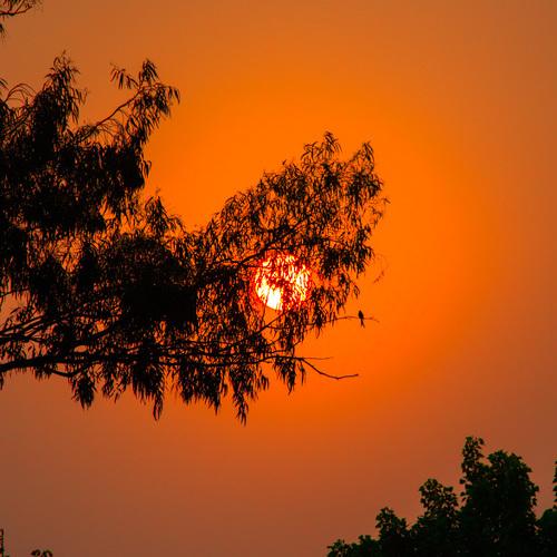 Sunrises and sunsets