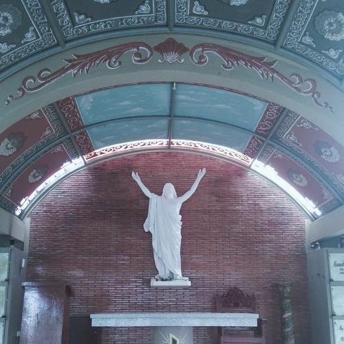 Photo #3364121
