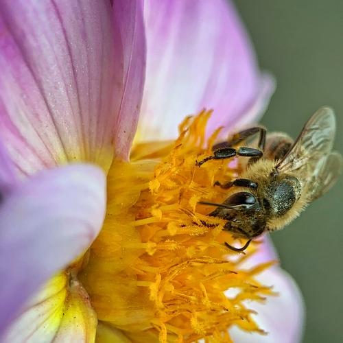 Фотография #3367076